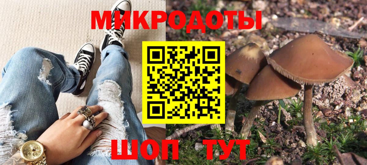 Псилоцибиновые грибы мухоморы Бузулук