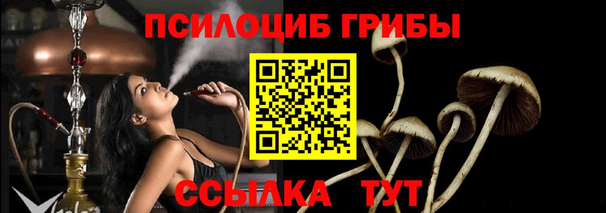 купить наркотики сайты  Вход с VPN  Псилоцибиновые грибы GOLDEN TEACHER  Бузулук  Галлюциногенные грибы Psilocybine cubensis 